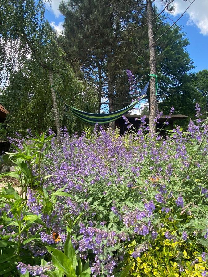 Dom Na Grobli Holiday home Dluzki