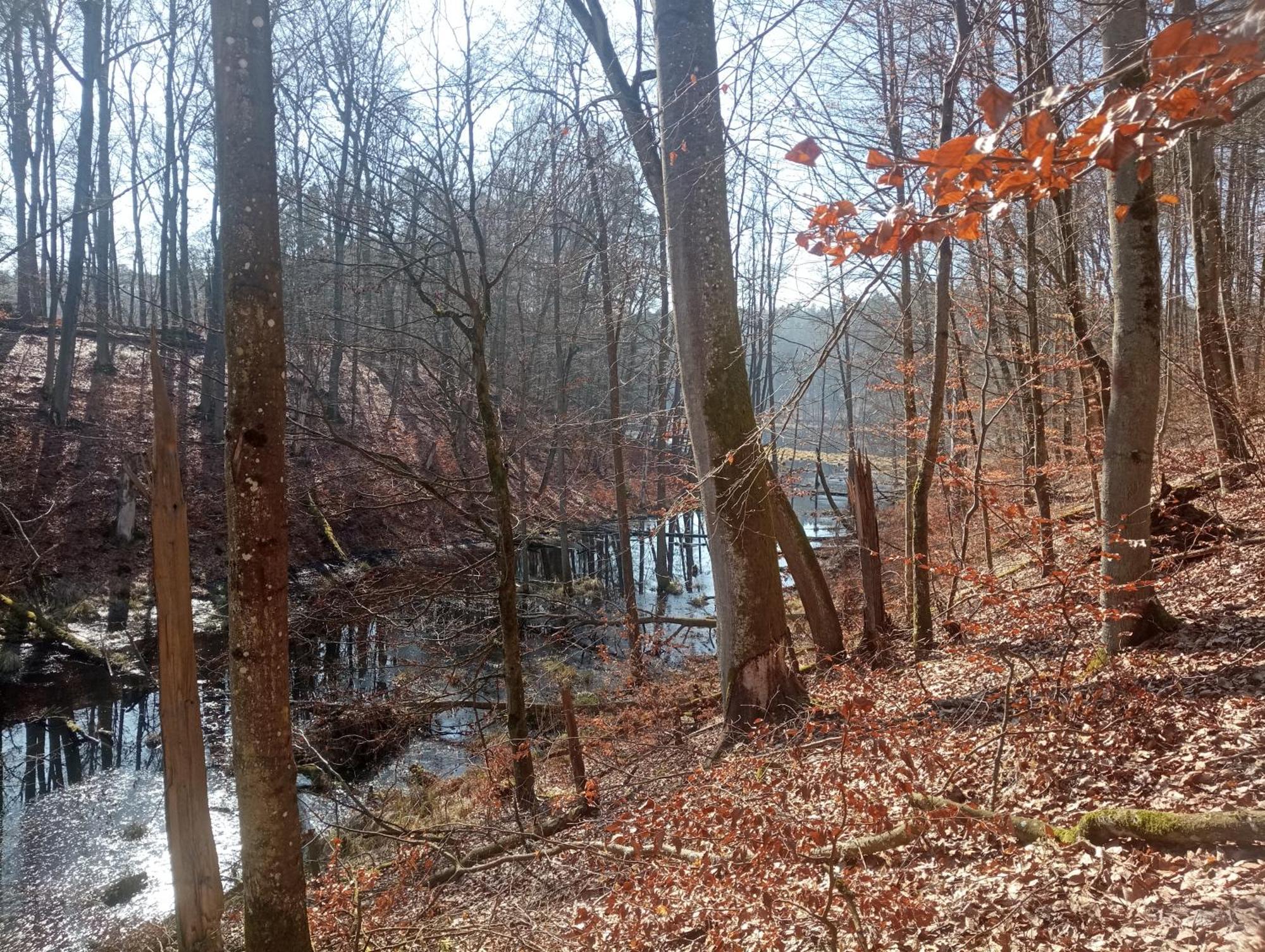 Dom Na Grobli Holiday home Dluzki